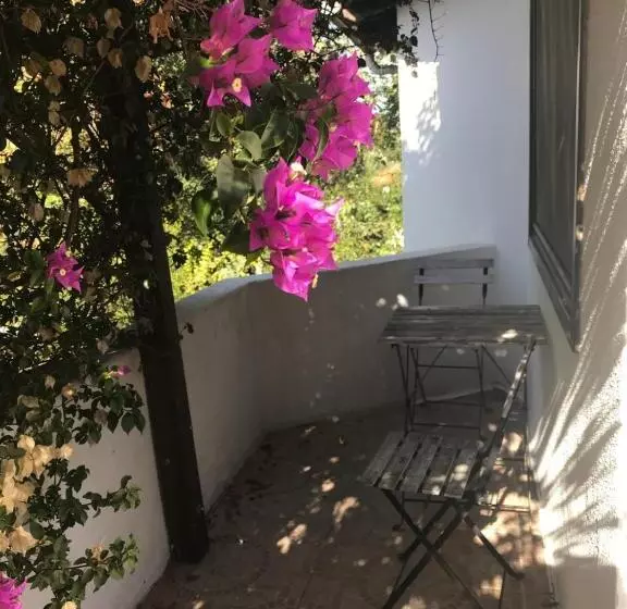 Hotelli Kano