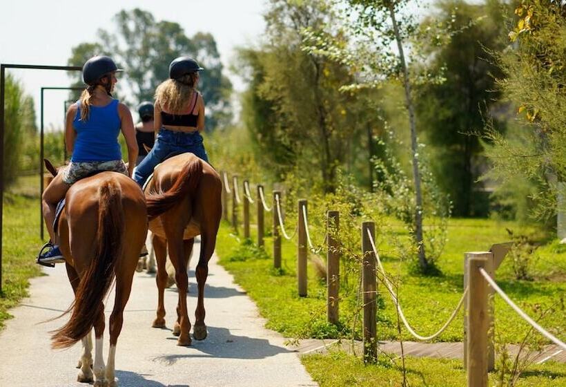 فندق Plana Resort & Spa