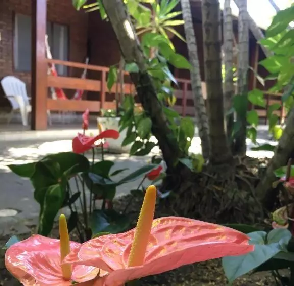 ホテル Pousada Do Aconchego