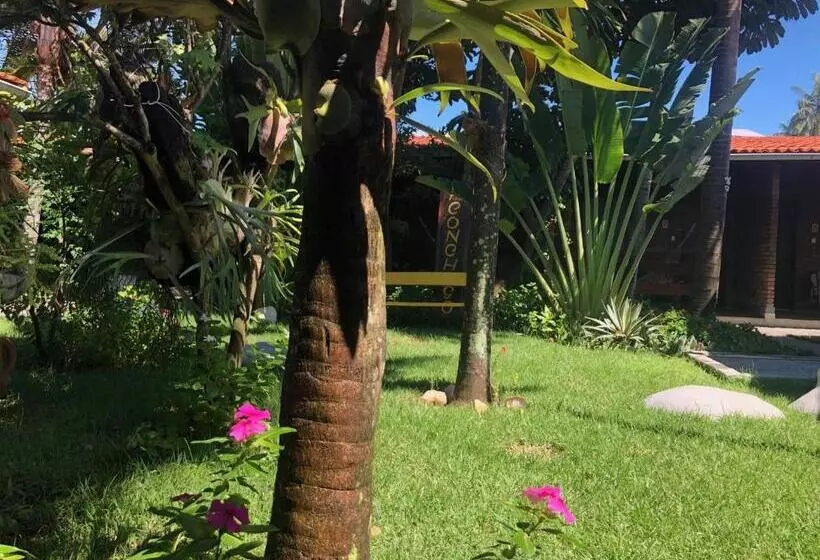 ホテル Pousada Do Aconchego