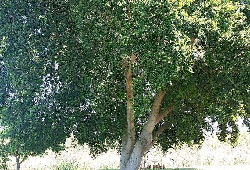 מוטל Leichhardt Accommodation