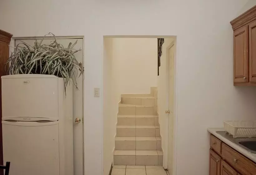 Suites Cervantes