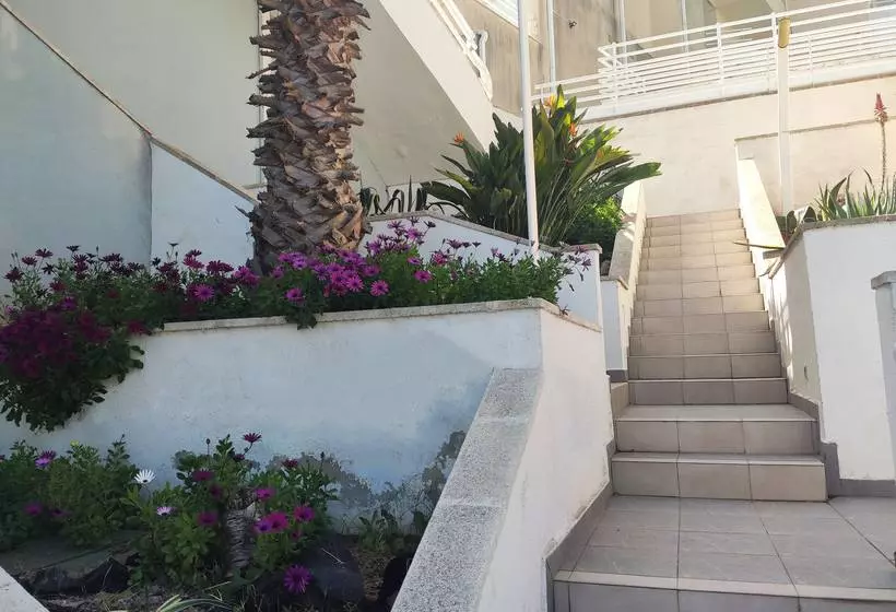 Apartamentos Montemar 3000