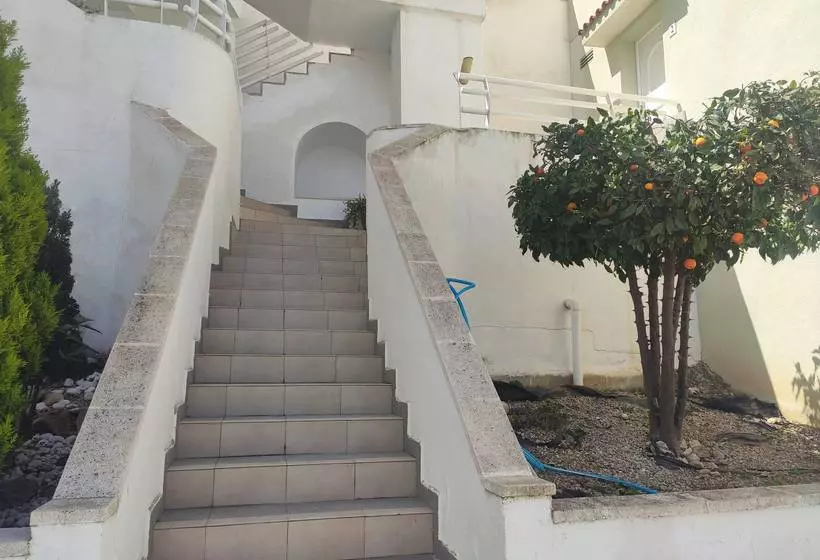 Apartamentos Montemar 3000