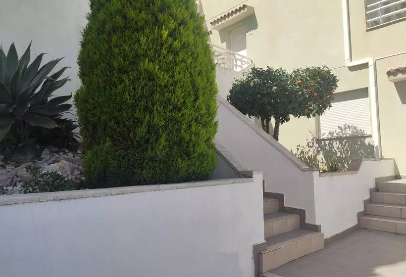 Apartamentos Montemar 3000