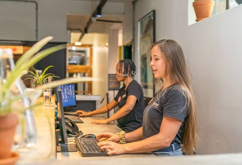 הוסטל Never At Home Kloof Street