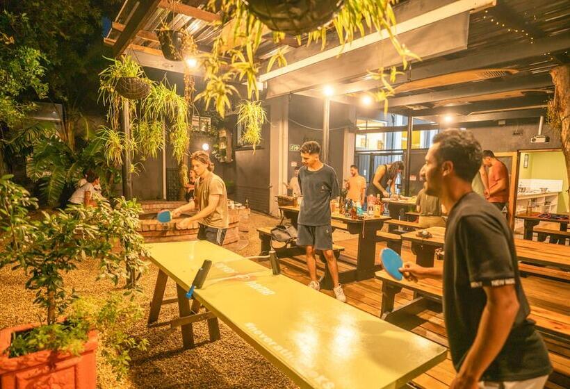 הוסטל Never At Home Kloof Street