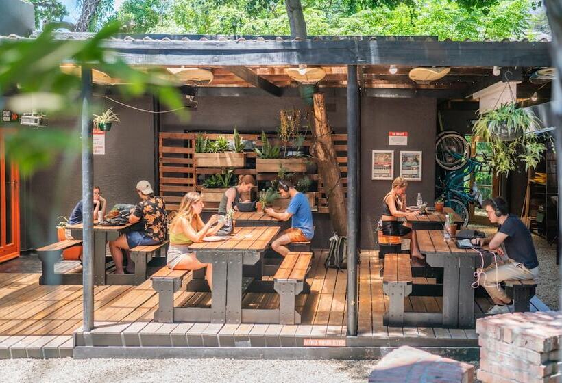 הוסטל Never At Home Kloof Street