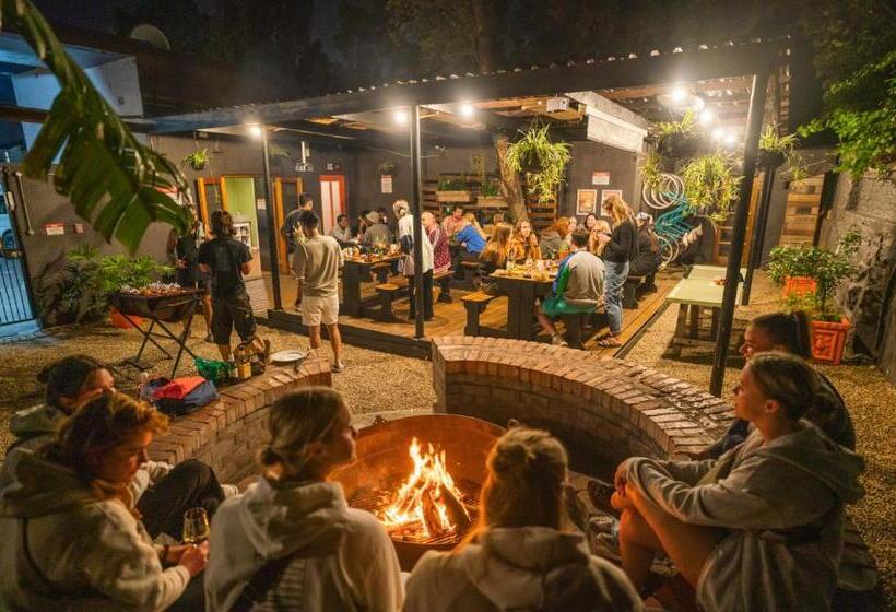 הוסטל Never At Home Kloof Street