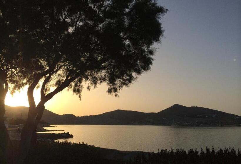 Almira Suites   Seafront   Naousa Paros