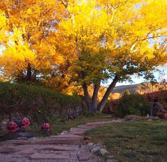 צימר Inn On The Rio