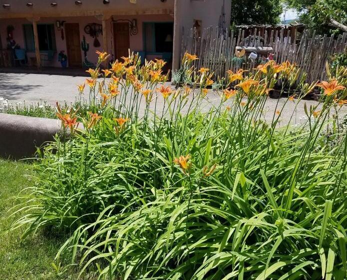 צימר Inn On The Rio