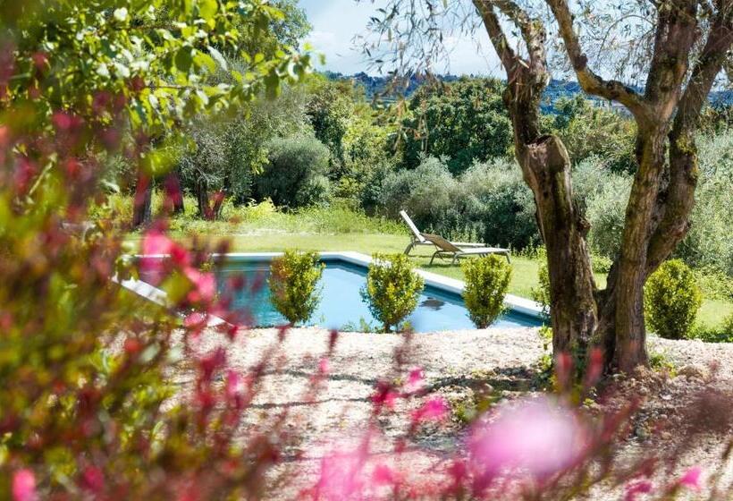 Bed and Breakfast Prati Palai