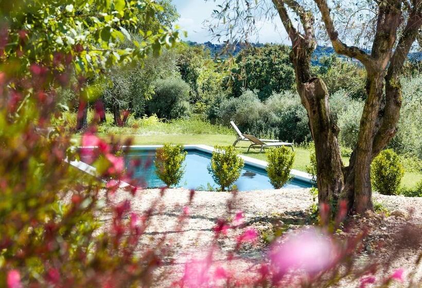 Bed and Breakfast Prati Palai