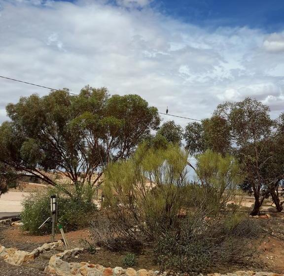 Down To Erth Bed And Breakfast