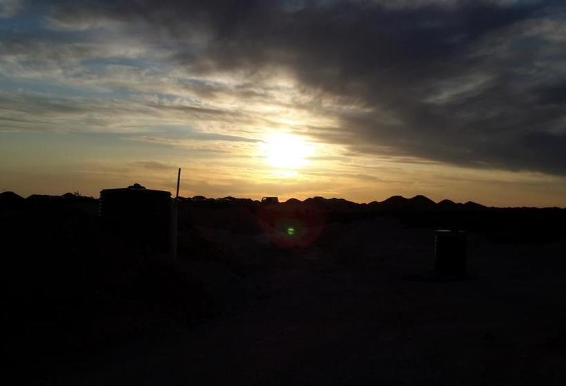 Down To Erth Bed And Breakfast