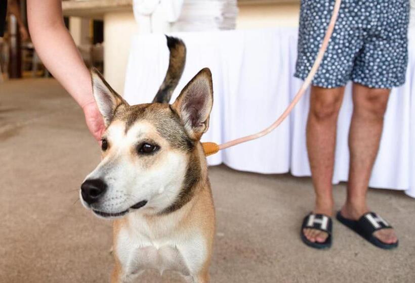 Mishol Bodas Hotel & Beach Club Privado