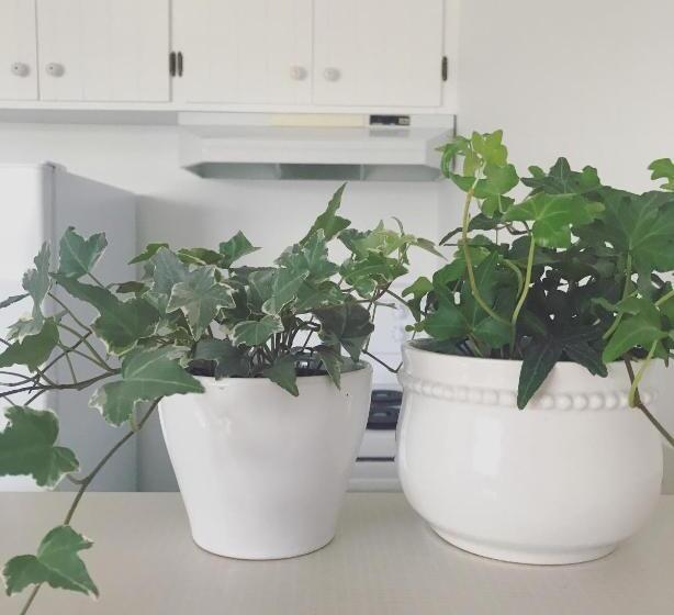 مُتل Banbridge Inn