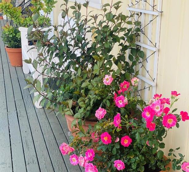 مُتل Banbridge Inn