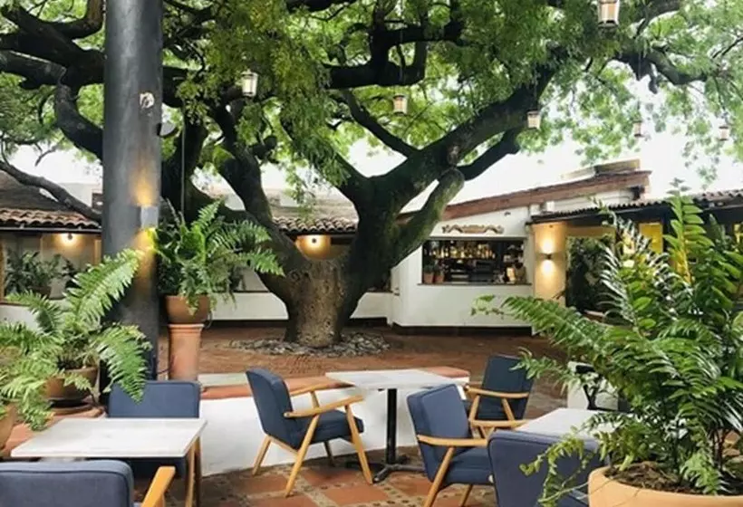 ホテル El Ciruelo