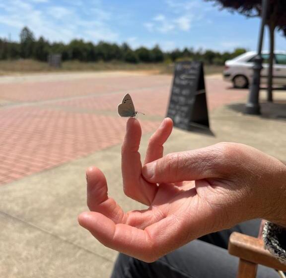 Albergue Rural Las Águedas