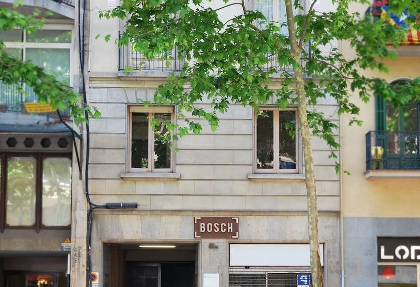 تختخواب و صبحانه Bird House