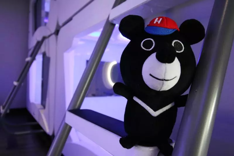 هتل کپسول Hey Bear Capsule