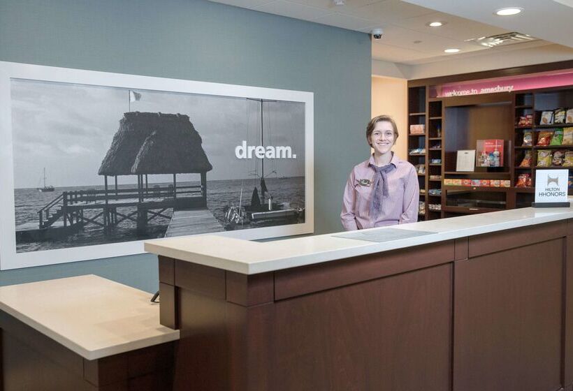 فندق Hampton Inn By Hilton Amesbury