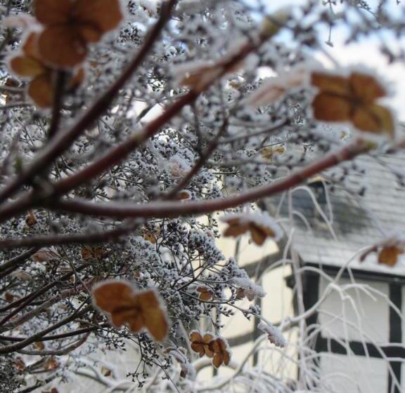 호텔 Lower Wythall B&b