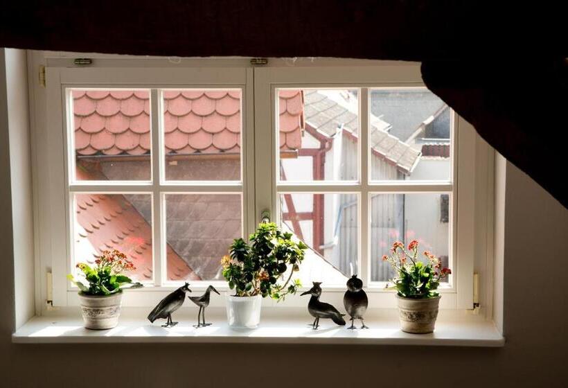 בית מלון כפרי Weber