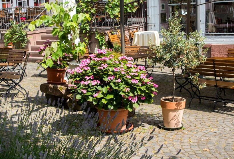 בית מלון כפרי Weber