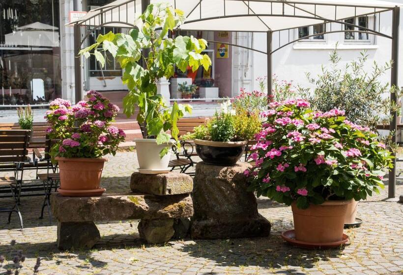 בית מלון כפרי Weber