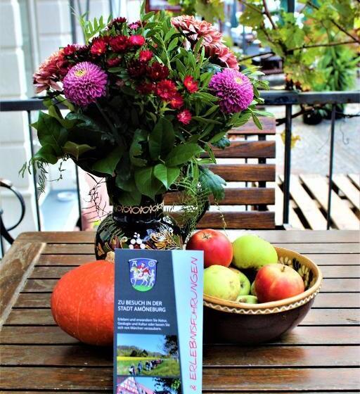 בית מלון כפרי Weber