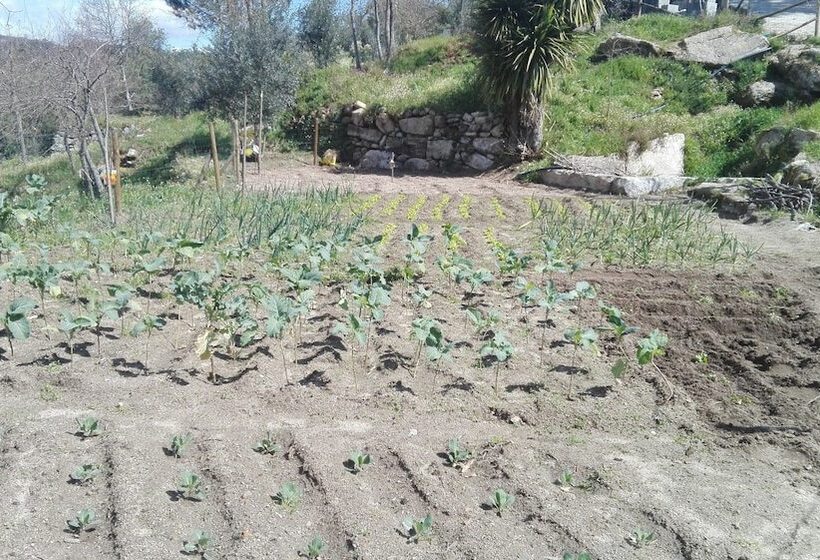 I Love Dao  Casas Da Fraga