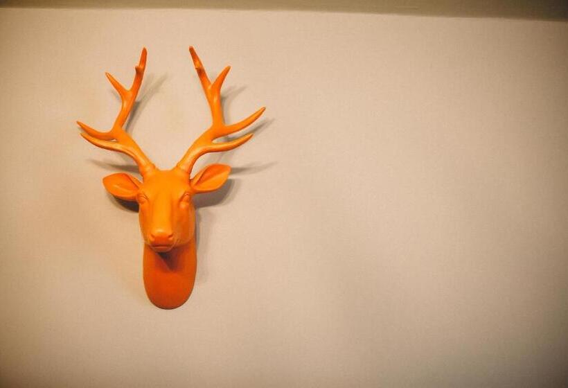 بنسيون The Stag At Stow