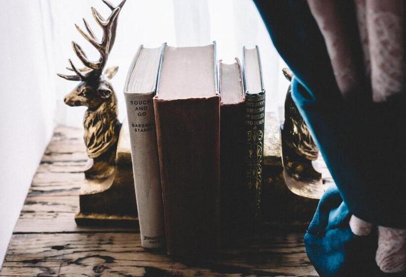 بنسيون The Stag At Stow