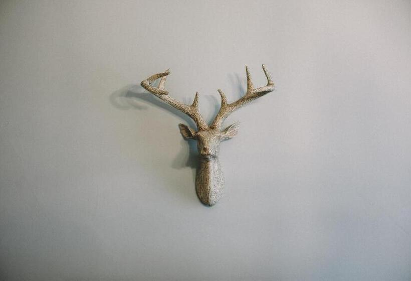 بنسيون The Stag At Stow