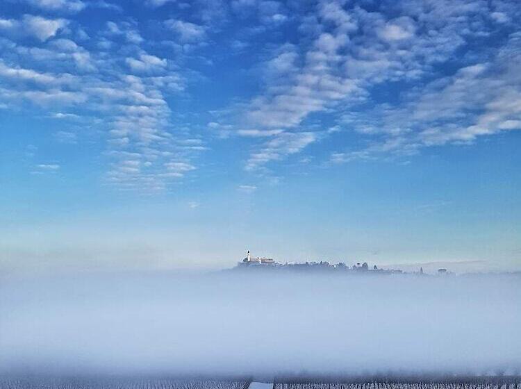 B&b Terra Di Collina