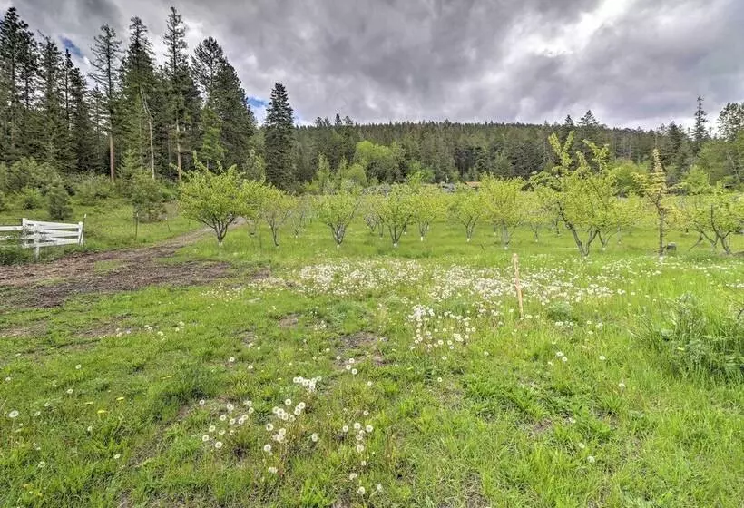Bigfork Home W/ Mtn Views   Close To Lake!