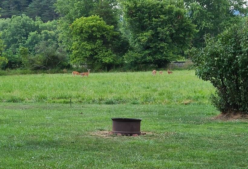Cozy Family Home W/ Kayaks, Dock & Fire Pit!