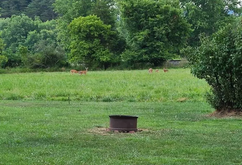 Cozy Family Home W/ Kayaks, Dock & Fire Pit!