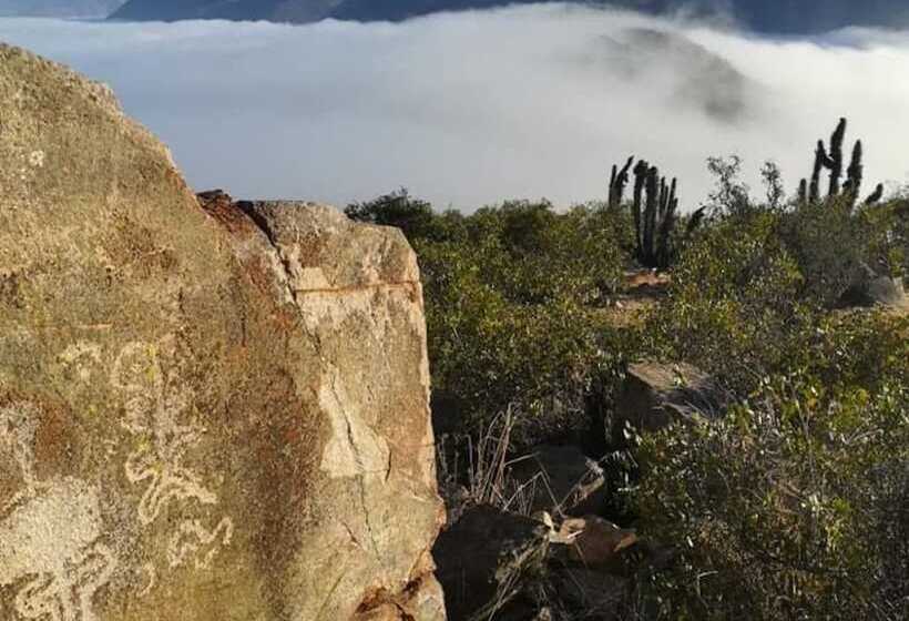 مسافرخانه Pircas De Arboleda