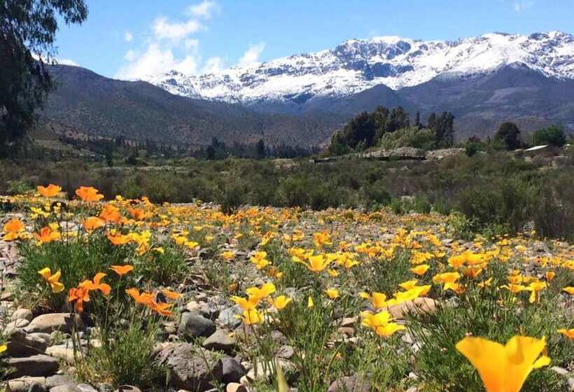 مسافرخانه Pircas De Arboleda