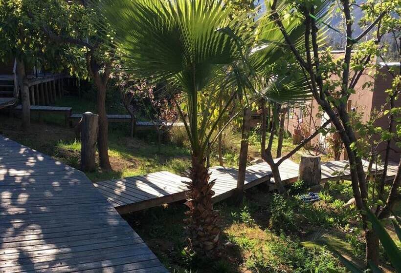 مسافرخانه Pircas De Arboleda