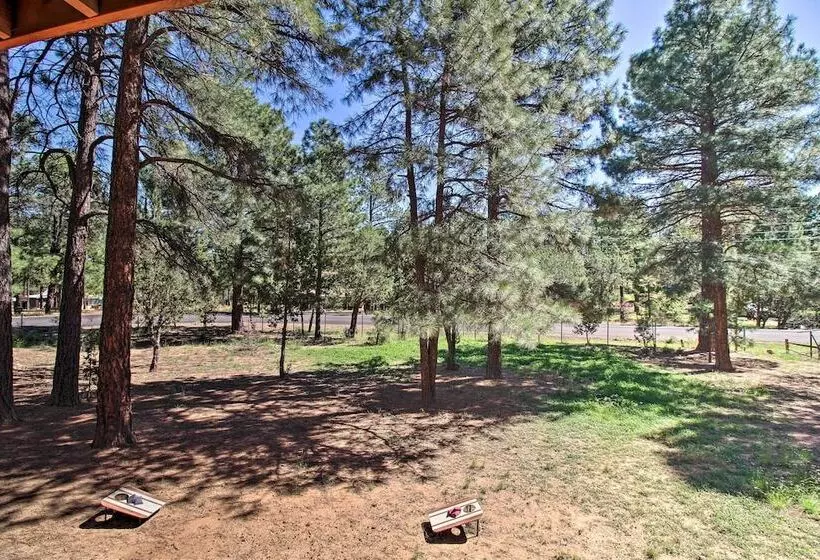 Large Deck, Grill: Pet Friendly Show Low Retreat!