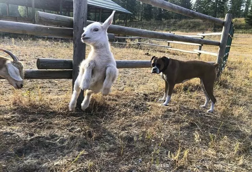 Rural Kettle Falls Bunkhouse W/ Airstrip & Trails!