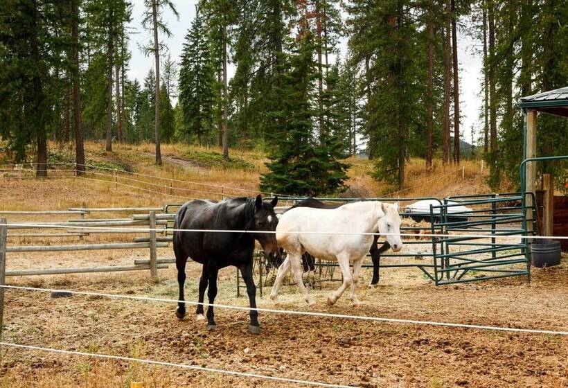 Rural Kettle Falls Bunkhouse W/ Airstrip & Trails!