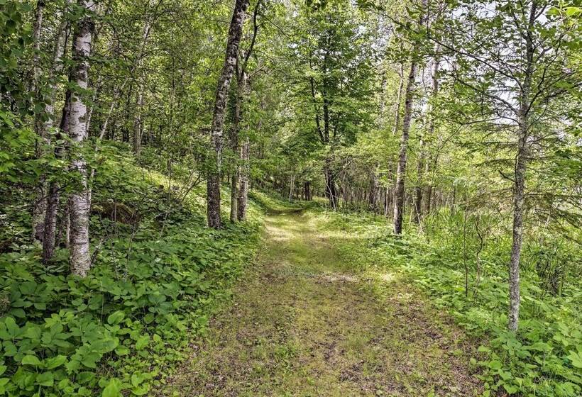 Rustic Cozy Cabin On Island Lake W/ Fire Pit, Dock