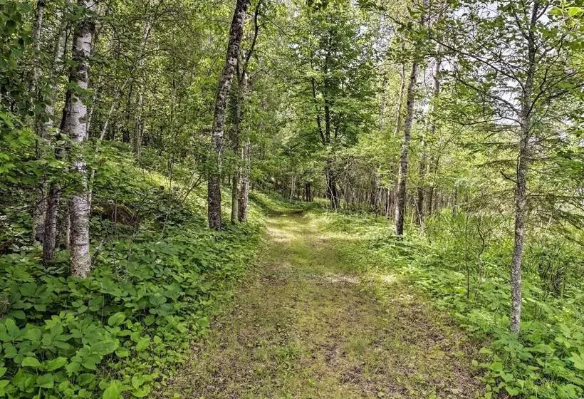 Rustic Cozy Cabin On Island Lake W/ Fire Pit, Dock