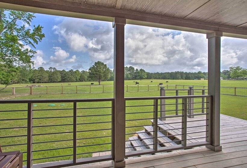 Little Lucky Star  W/ Pond, Boat & Pasture View!